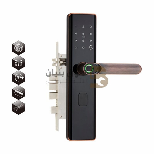 Picture of Smart Door Lock Copper KJ012-D