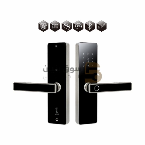 Picture of Smart Door Lock HC-Q1 SILVER